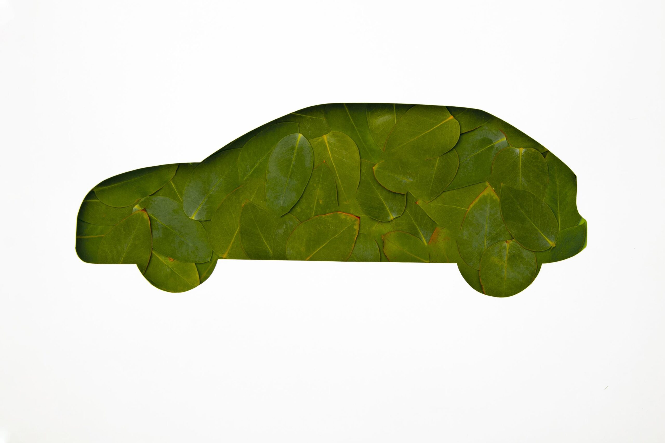 ZeleniAuto - skica automobila - cover photo